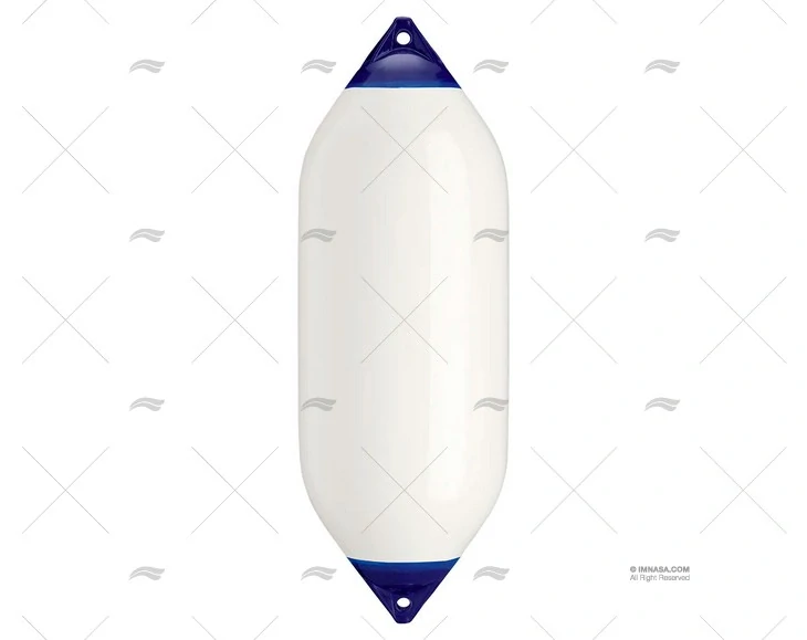 Fender F10